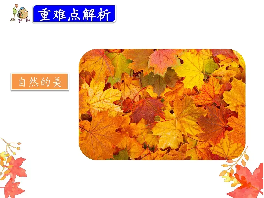 金色的脚印的含义是什么 金色的脚印主要内容是什么