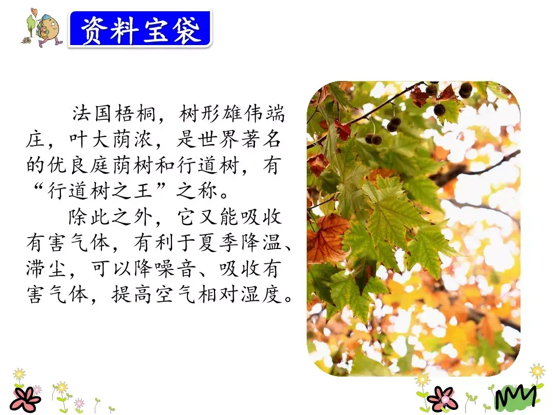 金色的脚印的含义是什么 金色的脚印主要内容是什么