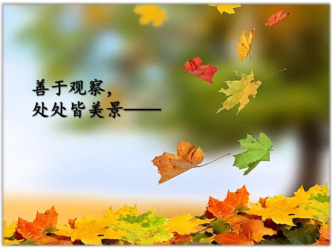 金色的脚印的含义是什么 金色的脚印主要内容是什么