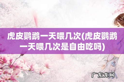 虎皮鹦鹉一天喂几次是自由吃吗 虎皮鹦鹉一天喂几次