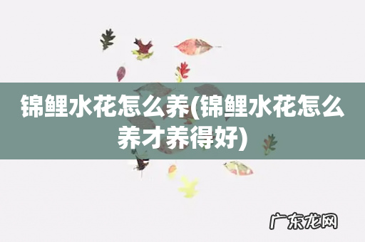 锦鲤水花怎么养才养得好 锦鲤水花怎么养