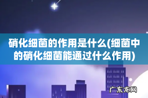 细菌中的硝化细菌能通过什么作用 硝化细菌的作用是什么