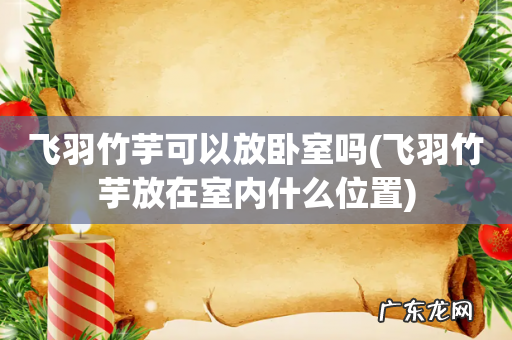 飞羽竹芋放在室内什么位置 飞羽竹芋可以放卧室吗