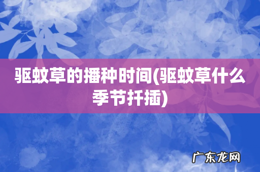 驱蚊草什么季节扦插 驱蚊草的播种时间