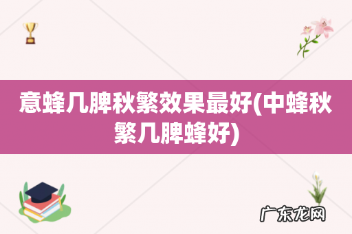 中蜂秋繁几脾蜂好 意蜂几脾秋繁效果最好