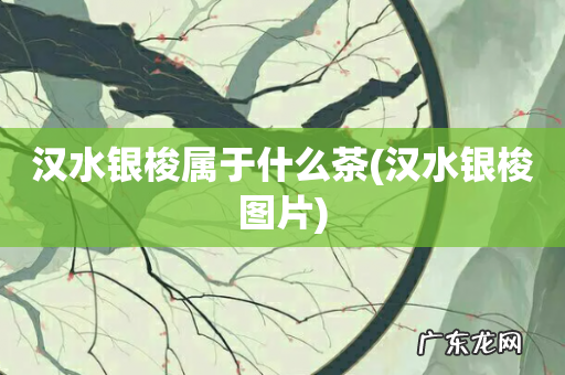 汉水银梭图片 汉水银梭属于什么茶