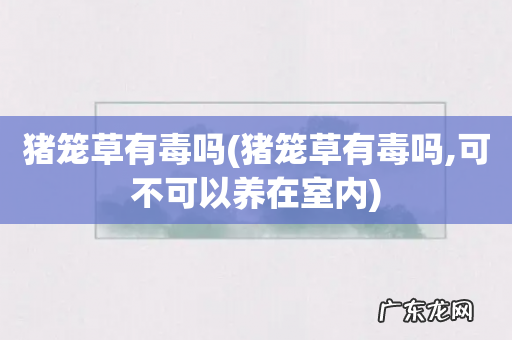 猪笼草有毒吗,可不可以养在室内 猪笼草有毒吗