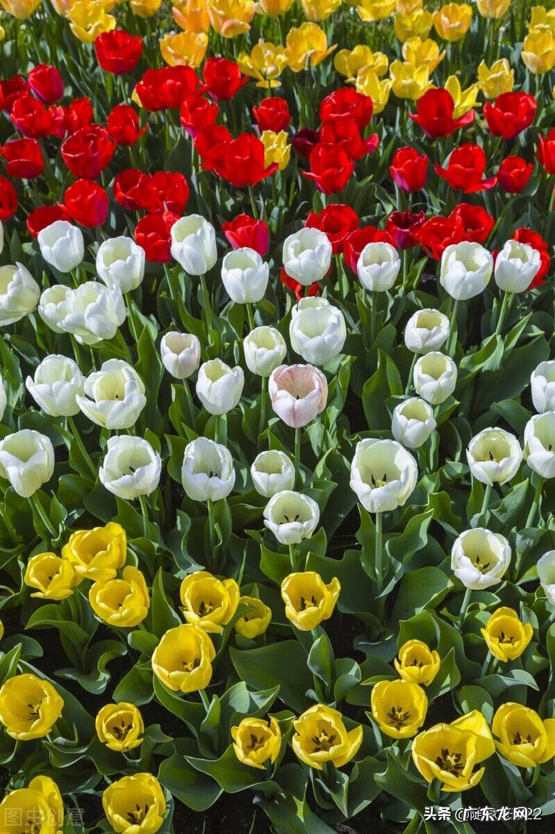 房屋改造风水会变吗 如何改变住宅风水