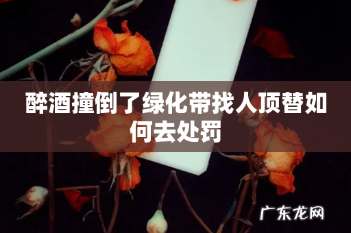 醉酒撞倒了绿化带找人顶替如何去处罚