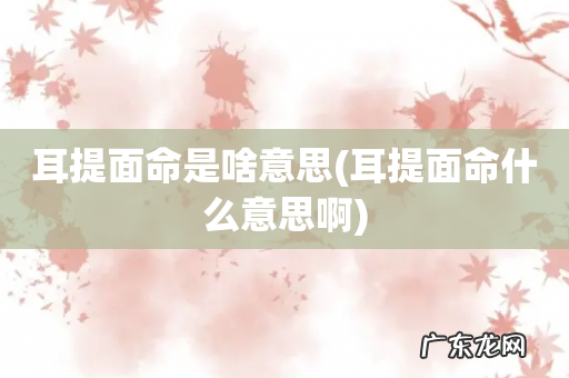 耳提面命什么意思啊 耳提面命是啥意思