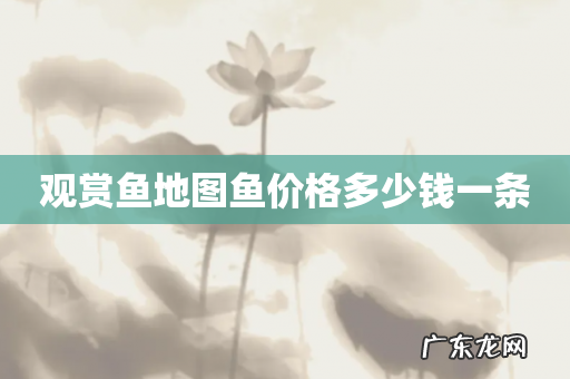 观赏鱼地图鱼价格多少钱一条