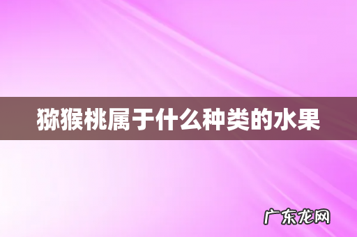 猕猴桃属于什么种类的水果