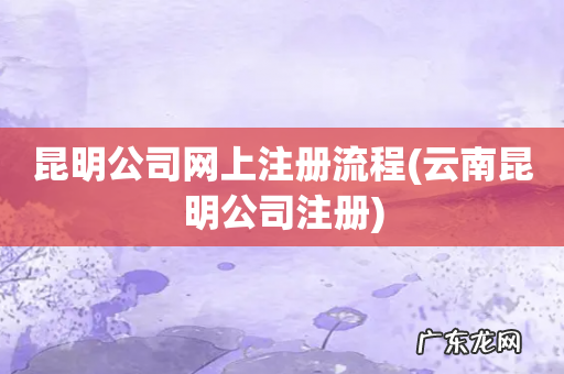 云南昆明公司注册 昆明公司网上注册流程