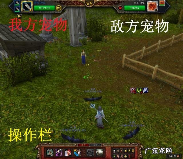 魔兽世界赢得一场宠物战斗 魔兽世界宠物对战必备宠物