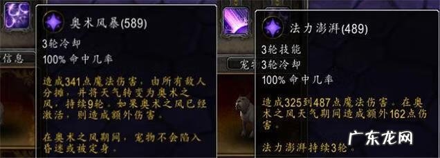 魔兽世界赢得一场宠物战斗 魔兽世界宠物对战必备宠物