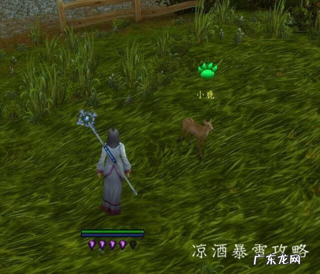 魔兽世界赢得一场宠物战斗 魔兽世界宠物对战必备宠物