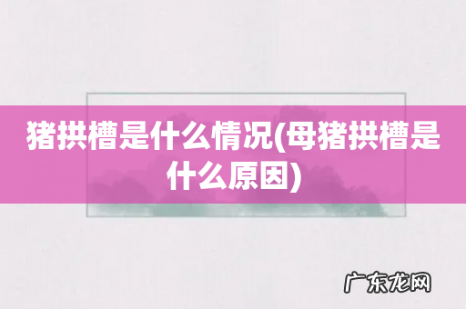 母猪拱槽是什么原因 猪拱槽是什么情况