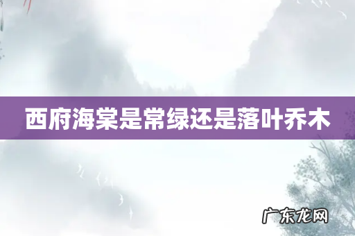 西府海棠是常绿还是落叶乔木