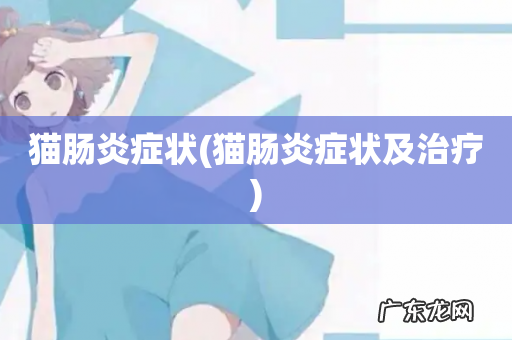 猫肠炎症状及治疗 猫肠炎症状