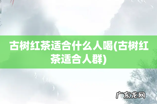 古树红茶适合人群 古树红茶适合什么人喝