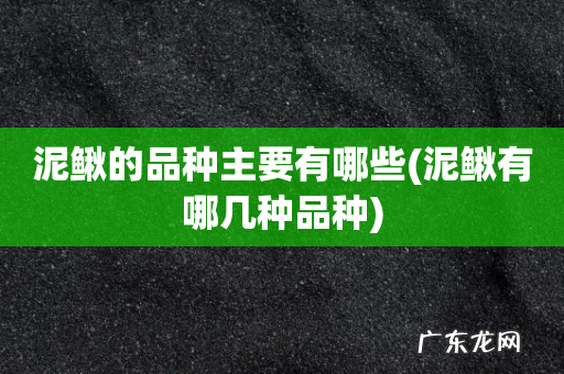泥鳅有哪几种品种 泥鳅的品种主要有哪些