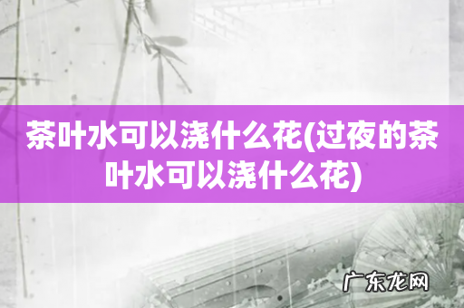 过夜的茶叶水可以浇什么花 茶叶水可以浇什么花