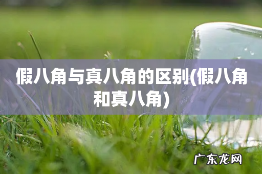 假八角和真八角 假八角与真八角的区别