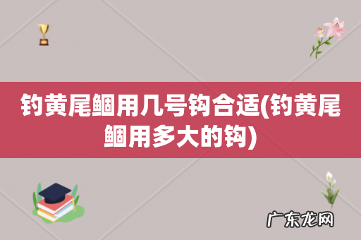 钓黄尾鲴用多大的钩 钓黄尾鲴用几号钩合适