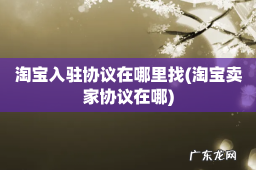 淘宝卖家协议在哪 淘宝入驻协议在哪里找