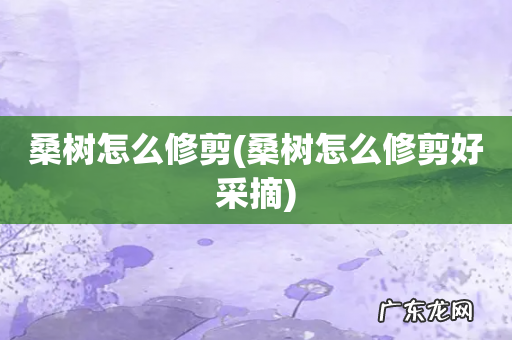 桑树怎么修剪好采摘 桑树怎么修剪