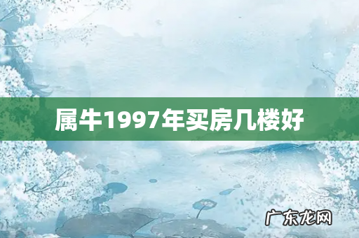 属牛1997年买房几楼好