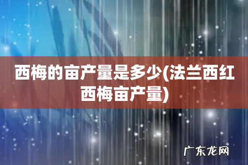 法兰西红西梅亩产量 西梅的亩产量是多少