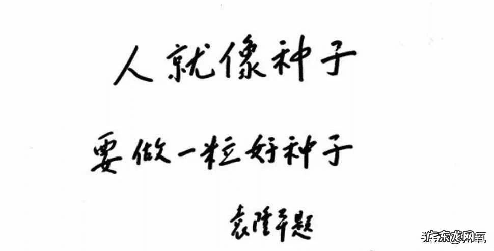 脸做美容手术要多少钱 做脸部整形手术费用