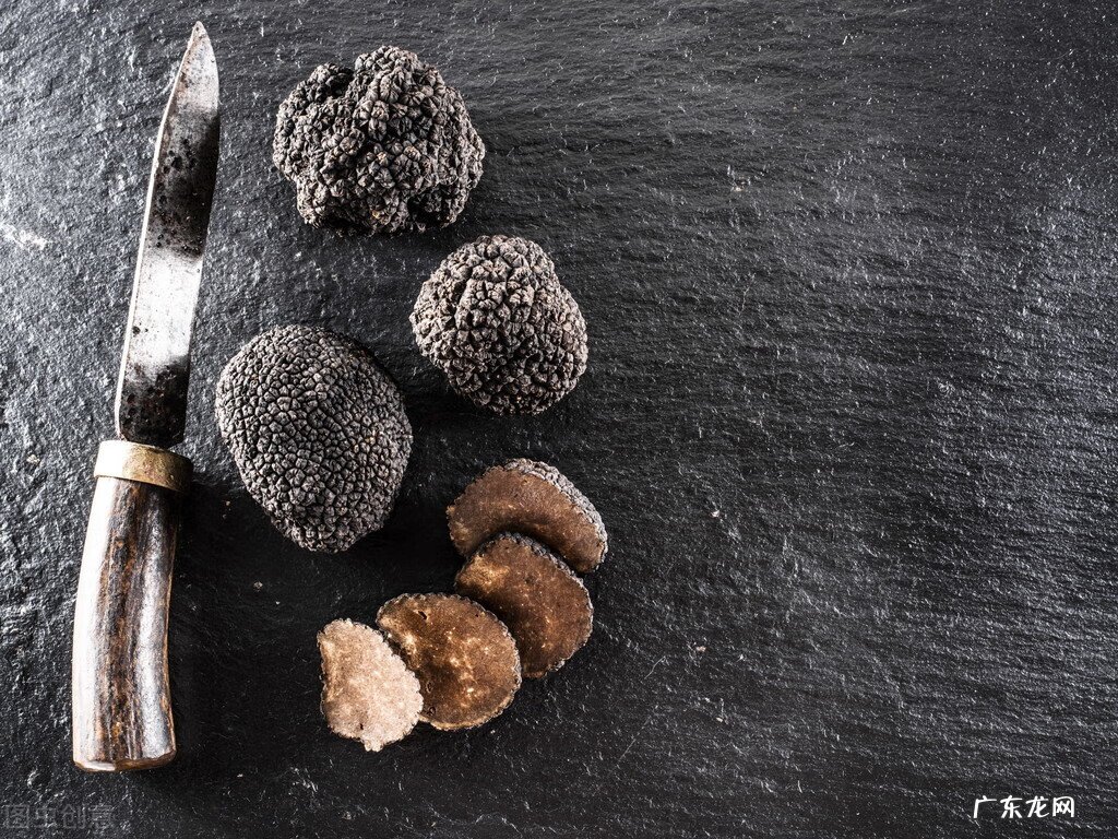 白松露和黑松露的区别 白松露是什么东西