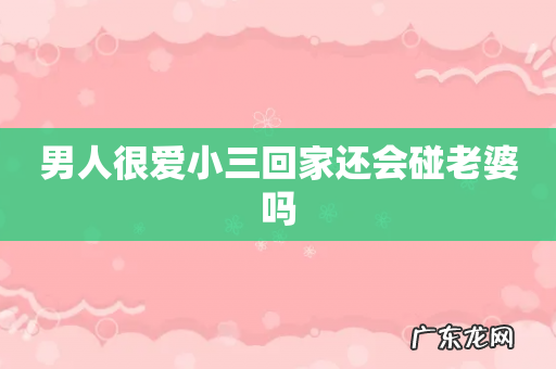 男人很爱小三回家还会碰老婆吗