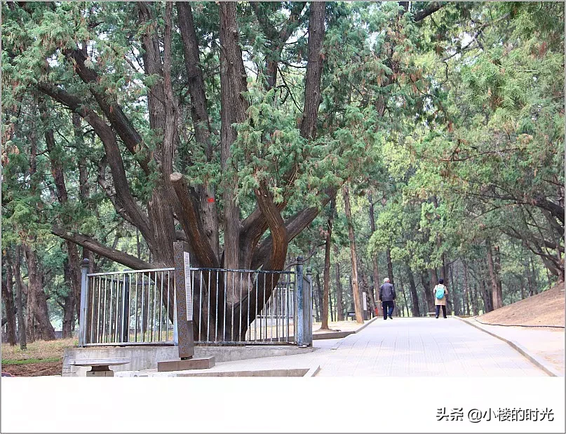 北京十三陵风水怎样 十三陵陵园风水