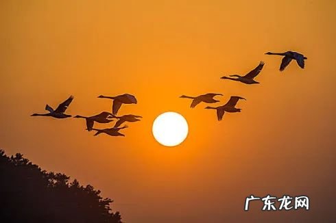 下山虎风水宝地图