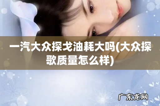 大众探歌质量怎么样 一汽大众探戈油耗大吗