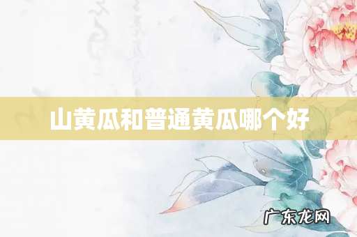 山黄瓜和普通黄瓜哪个好