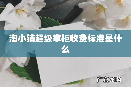 淘小铺超级掌柜收费标准是什么