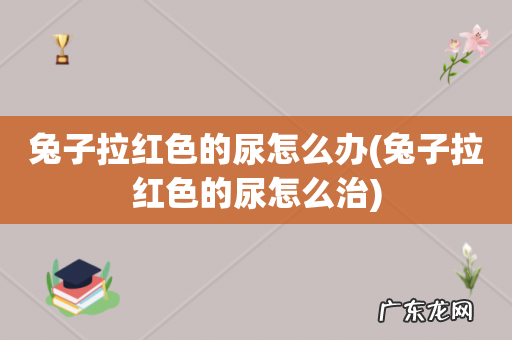 兔子拉红色的尿怎么治 兔子拉红色的尿怎么办