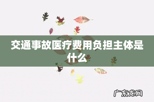 交通事故医疗费用负担主体是什么