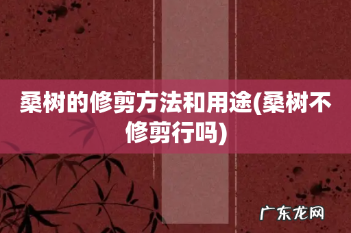 桑树不修剪行吗 桑树的修剪方法和用途