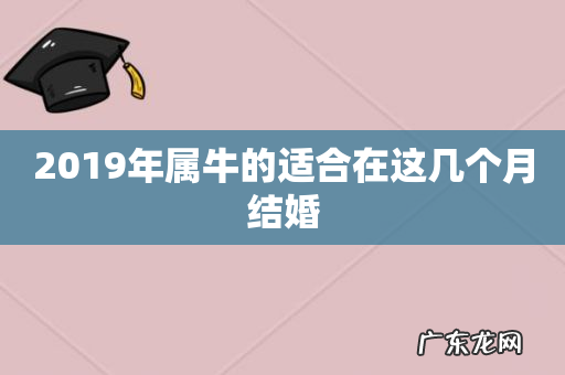 2019年属牛的适合在这几个月结婚