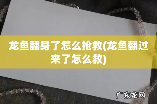 龙鱼翻过来了怎么救 龙鱼翻身了怎么抢救