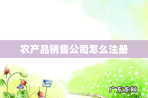 农产品销售公司怎么注册