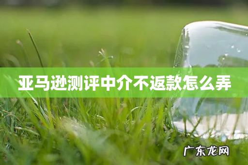 亚马逊测评中介不返款怎么弄