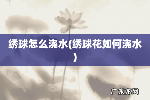 绣球花如何浇水 绣球怎么浇水