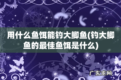 钓大鲫鱼的最佳鱼饵是什么 用什么鱼饵能钓大鲫鱼