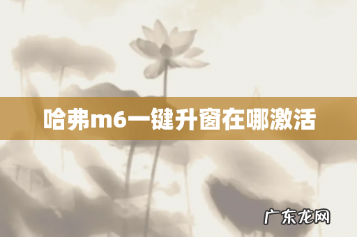 哈弗m6一键升窗在哪激活